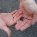 20110710_101150