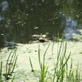 20110710_123325