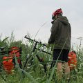20110711_123745