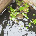 20110711_124030