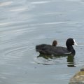 20110712_121852