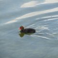 20110712_121903