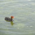 20110712_121910