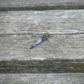 20110712_121945