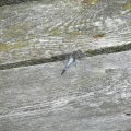 20110712_122012