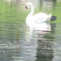 20110712_141355