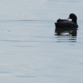 20110712_141544