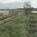 20110714_113552