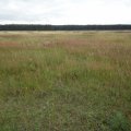 20110714_135823