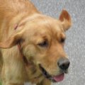 20110715_112323