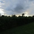 20110718_183112
