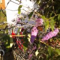 20110719_194842