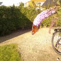 20110719_195031