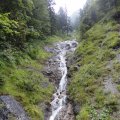 DSC03085