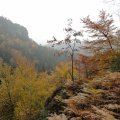 20111030_152000