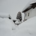 2012_02_15_09_44_49