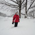 2012_02_15_10_19_51