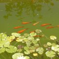 2012_08_07_15_47_00