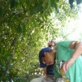 2012_08_07_16_20_05