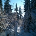 IMAG0419