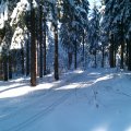 IMAG0425