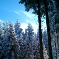 IMAG0450