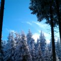 IMAG0451