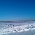 IMAG0453