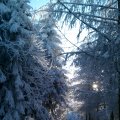 IMAG0455