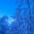 IMAG0457