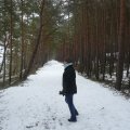 Rückweg durch den Dünenwald