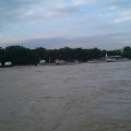 IMAG0566