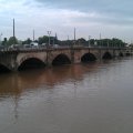 IMAG0567