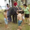 Elefant als Belustigung für die Kleinsten in einem Hotel am Strand