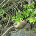 Ankunft auf "Monkey Island"