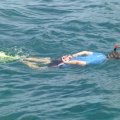 Schnorcheln in der Bucht von Phi Phi Island