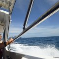 Die Sonne lacht, die See ist glatt. So macht Speedboat fahren Spass!