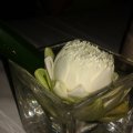 2013_07_27_20_53_18
