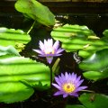 2013_07_28_08_10_34