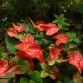 2013_07_28_08_39_04