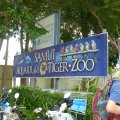 Besuch des Samui Aquarium & Tiger Zoo