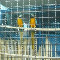2014_07_28_07_29_28