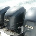 750 PS pure Power