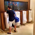 Im Männer-WC - Aquarium!
