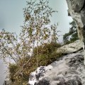 IMG_20141003_104701573_HDR