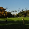 Herrliche Wiesen, im Hintergrund der Wasserturm