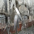 Lebensbaum als Mahnmal für die Opfer des Holocaust