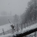 IMG_20141226_141309172