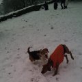 IMG_20141226_144015148