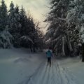 IMG_20150201_111750038